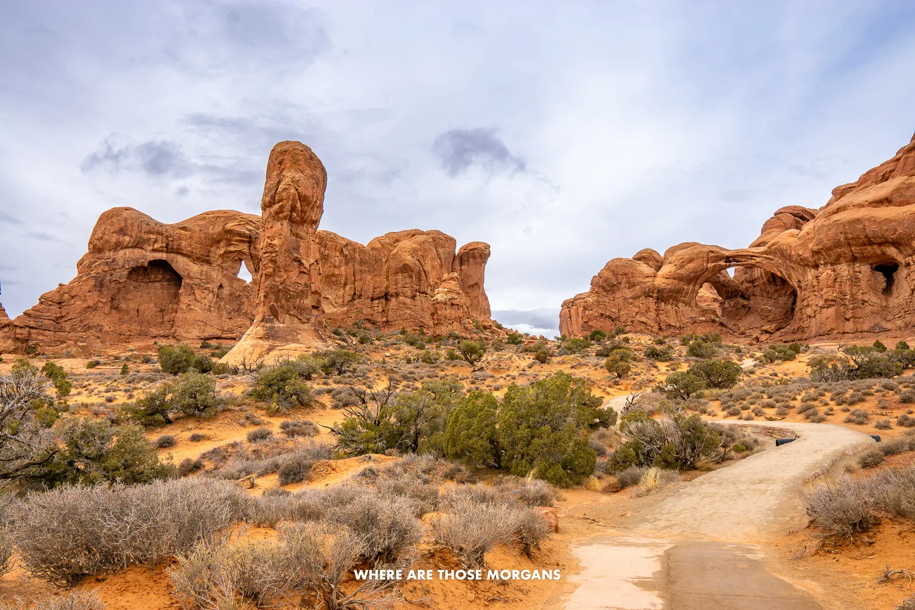 Path leading through desert vegetation to a collection of arch shaped sandstone rock formations