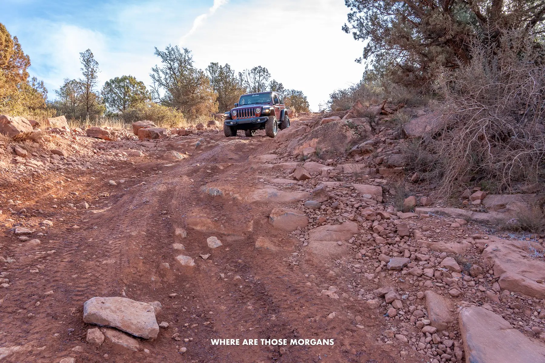 Photo of a jeep driving down a very steep and rocky road in Arizona