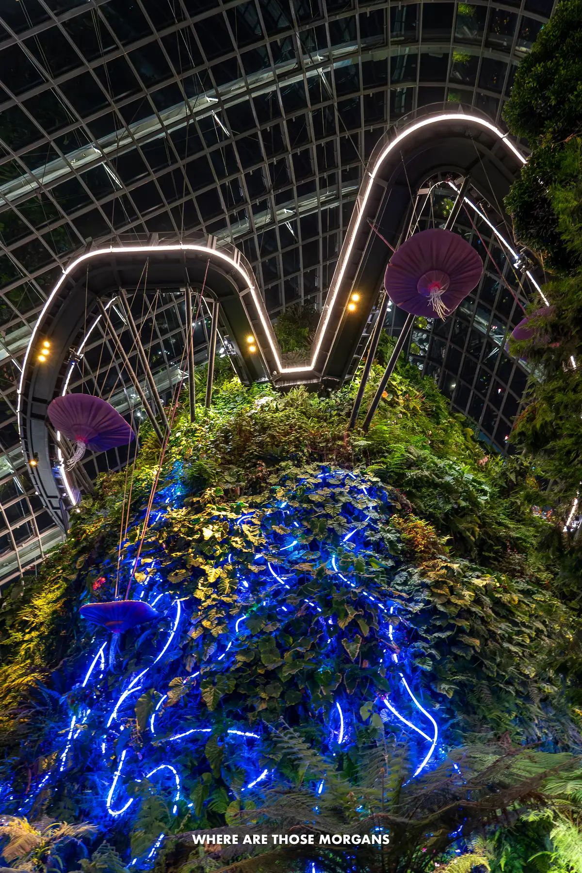 Looking up at a suspended aerial walkway lit up at night inside a massive greenhouse