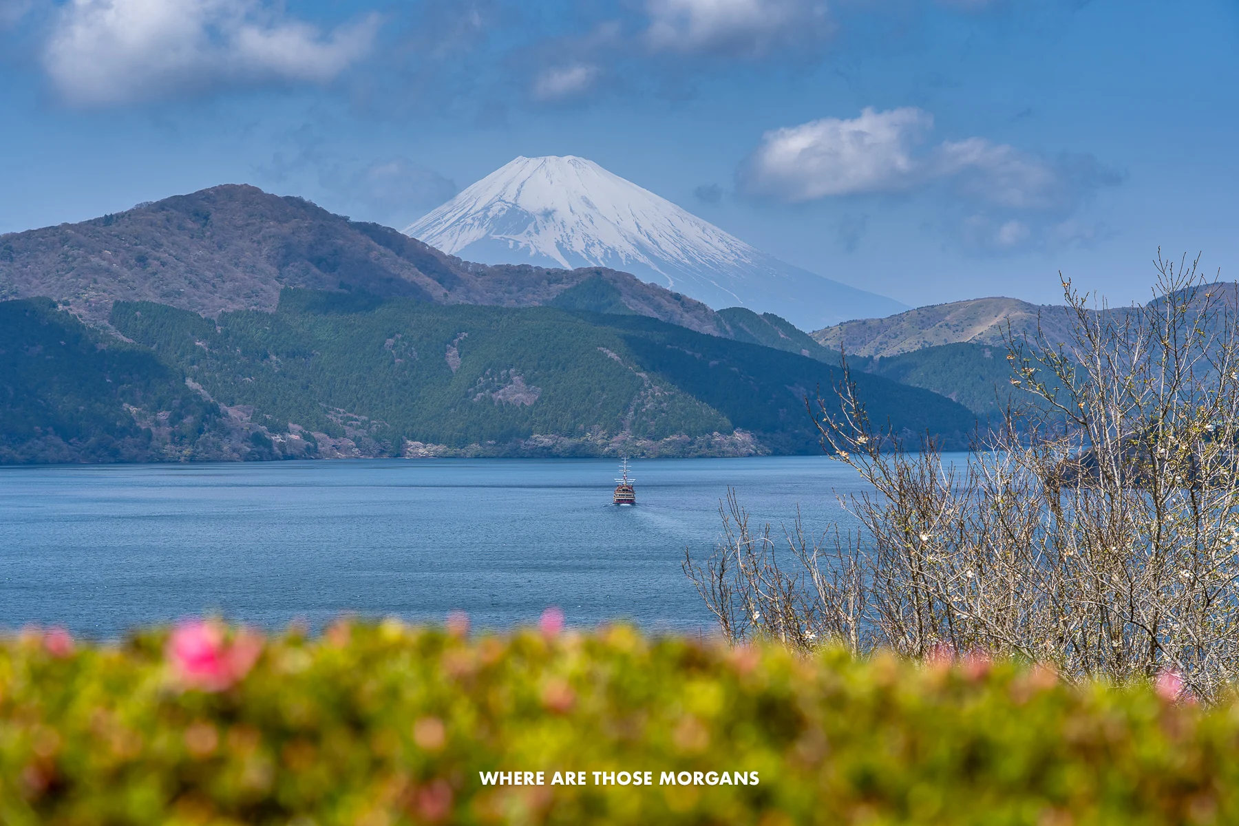 Mt. Fuji and Lake Ashi views over a bush from the south side of the lake in Hakone