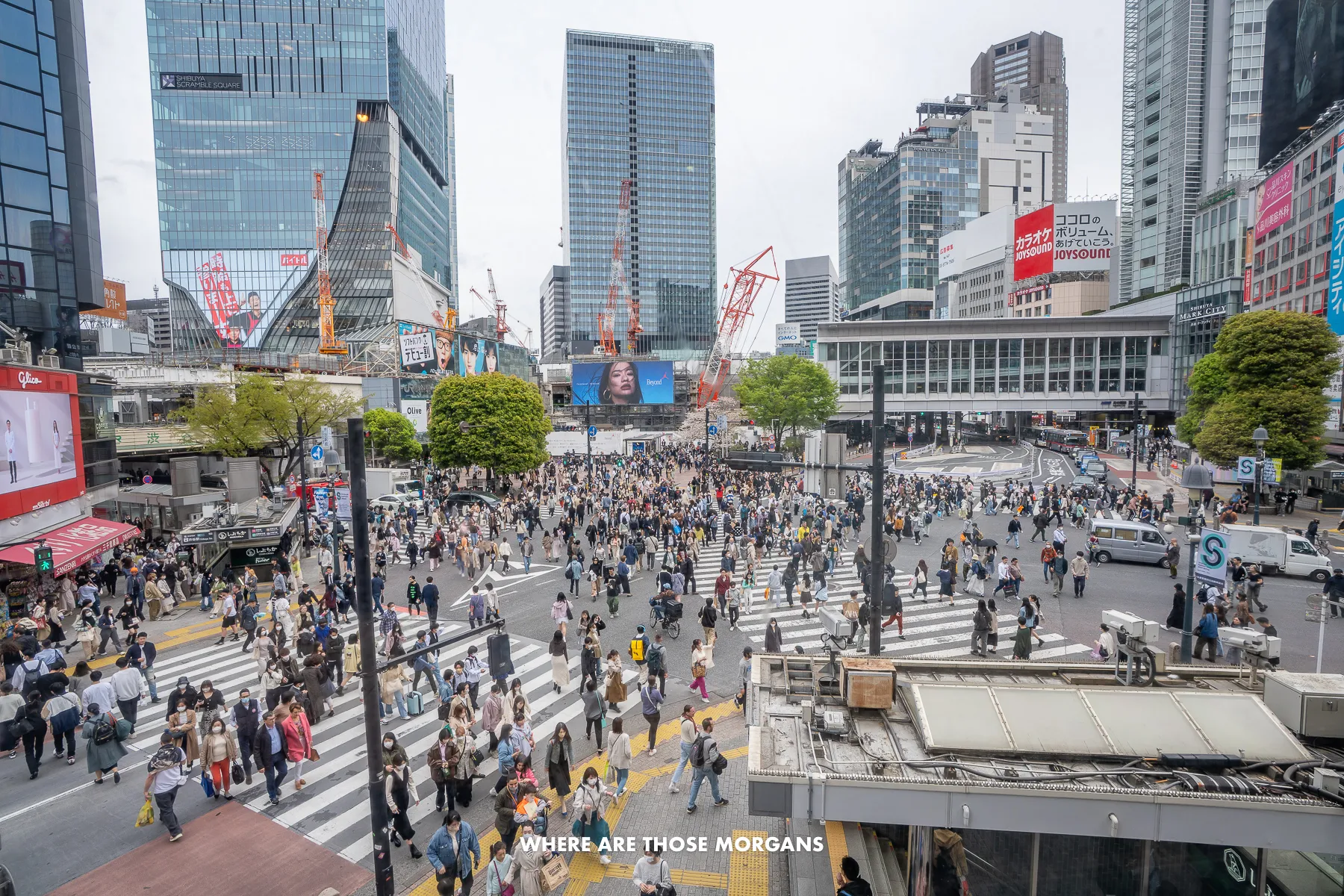 Hundreds of people crossing 5 different pedestrian crossings at once in Shibuya, Tokyo