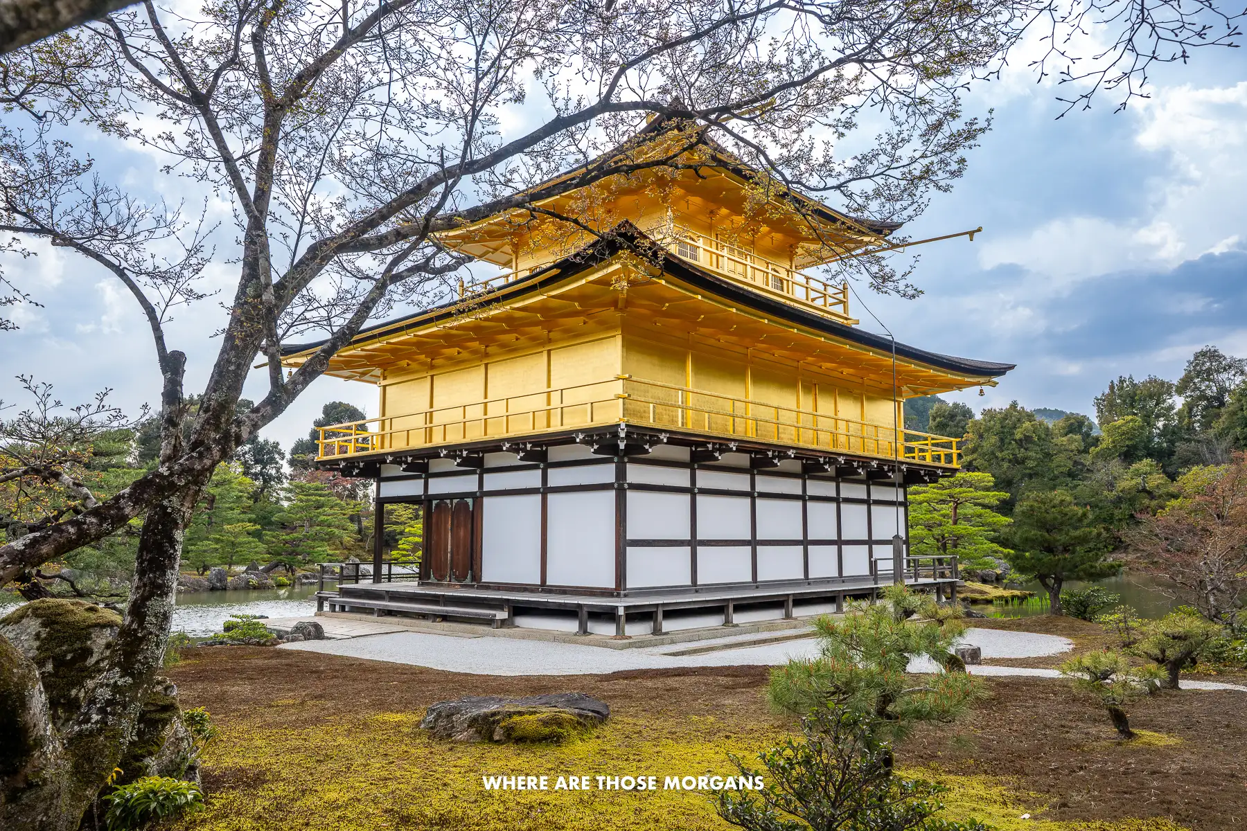 Close up of a Golden Pavilion with trees and vegetation under a cloudy sky in Japan