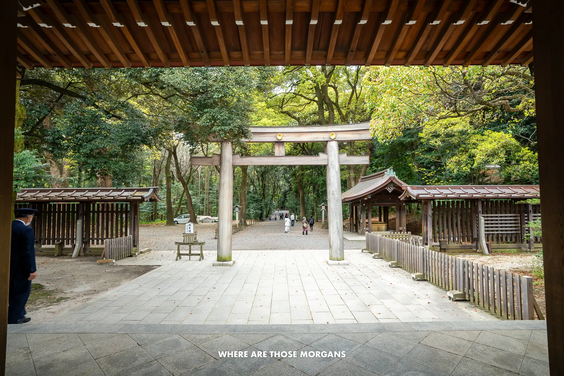 Shrine with wooden buildings and torii gate in a forest in Tokyo