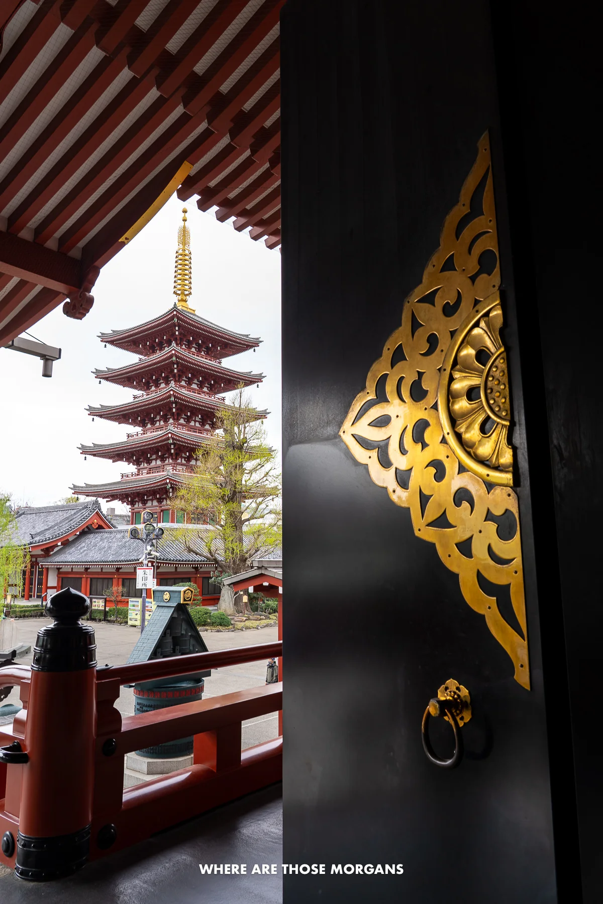 Five story pagoda through a door with gold leaf design in Asakusa, Tokyo