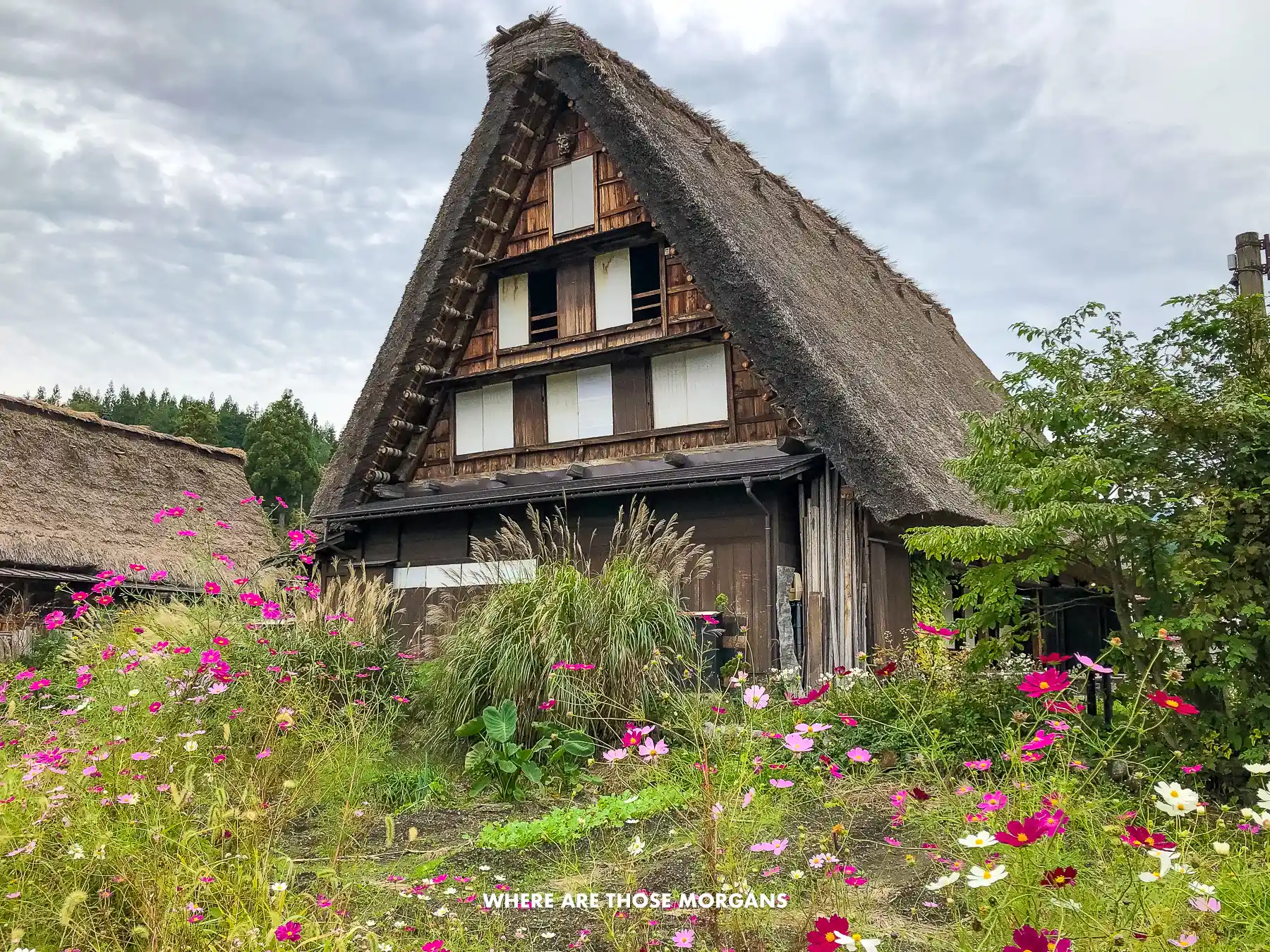 Thatched roof farmhouse behind a small garden with flowers in Shirakawago, Japan