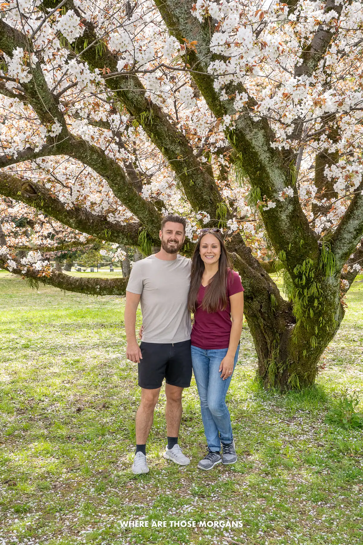 Mark and Kristen from Where Are Those Morgans standing together under a cherry blossom tree with pink flowers in Kyoto, Japan