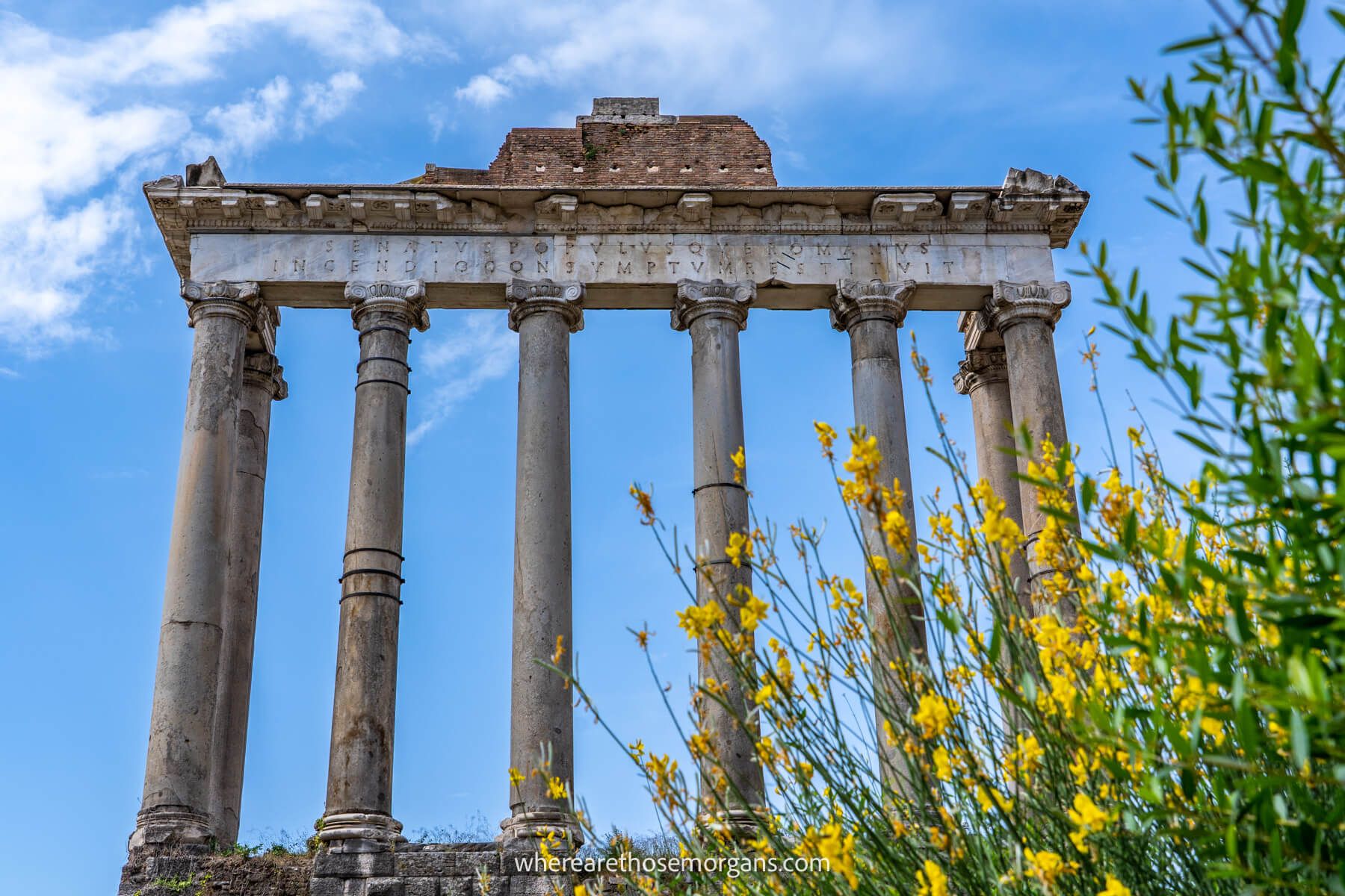 Photo of temple columns remaining from ancient Rome with grass and flowers in the bottom corner