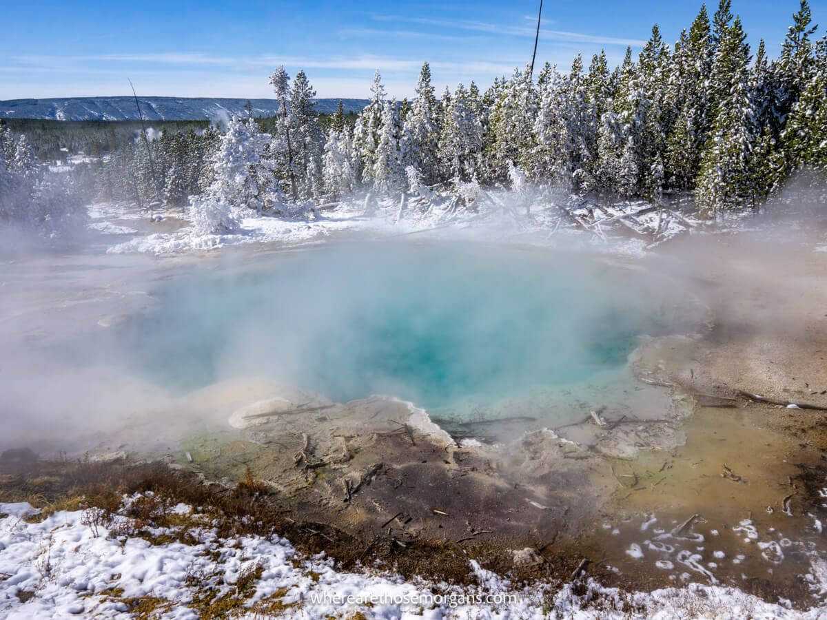 Blue colored hot spring billowing steam, surrounded by snow and ice on trees