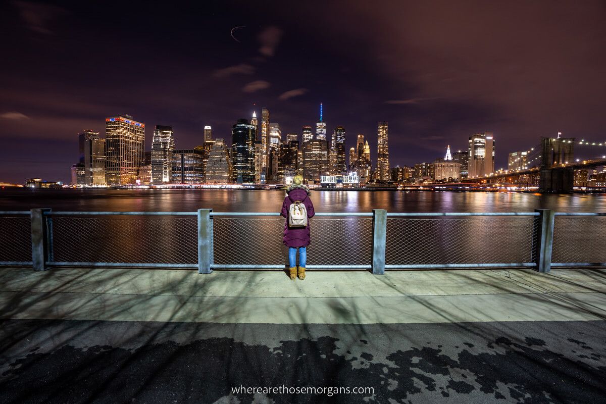 Lower Manhattan skyline from Brooklyn Bridge Park at night