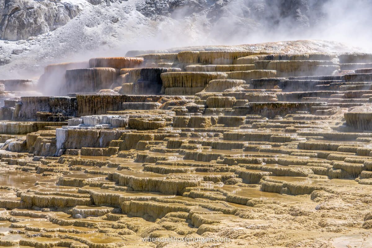 Mammoth Hot Springs terraces with steam billowing on a sunny day