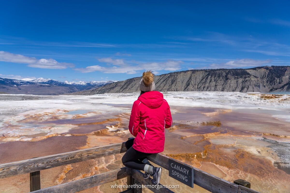 Tourist sat on a wooden fence overlooking Mammoth Hot Springs upper terraces on a cold but sunny day