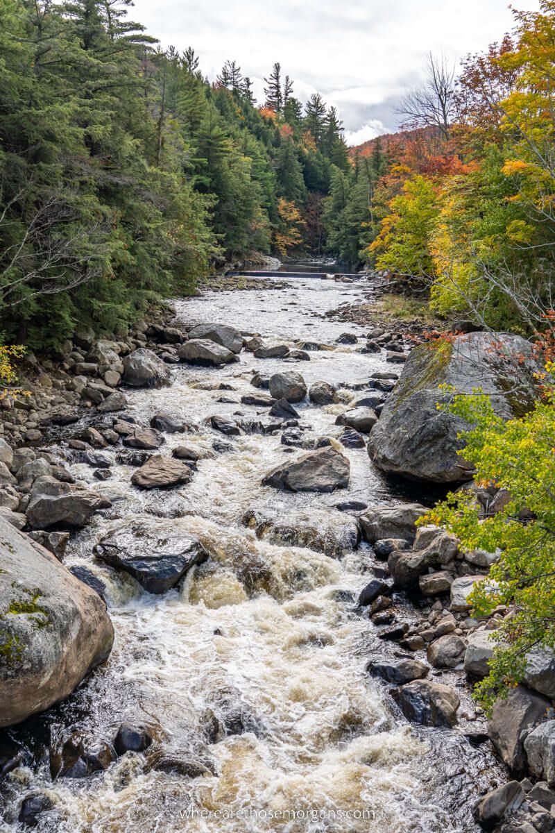 River rushing through trees in the Adirondack Mountains
