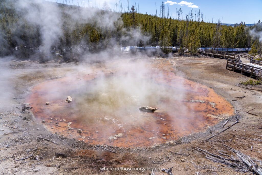 The acidic echinus geyser in Yellowstone national park