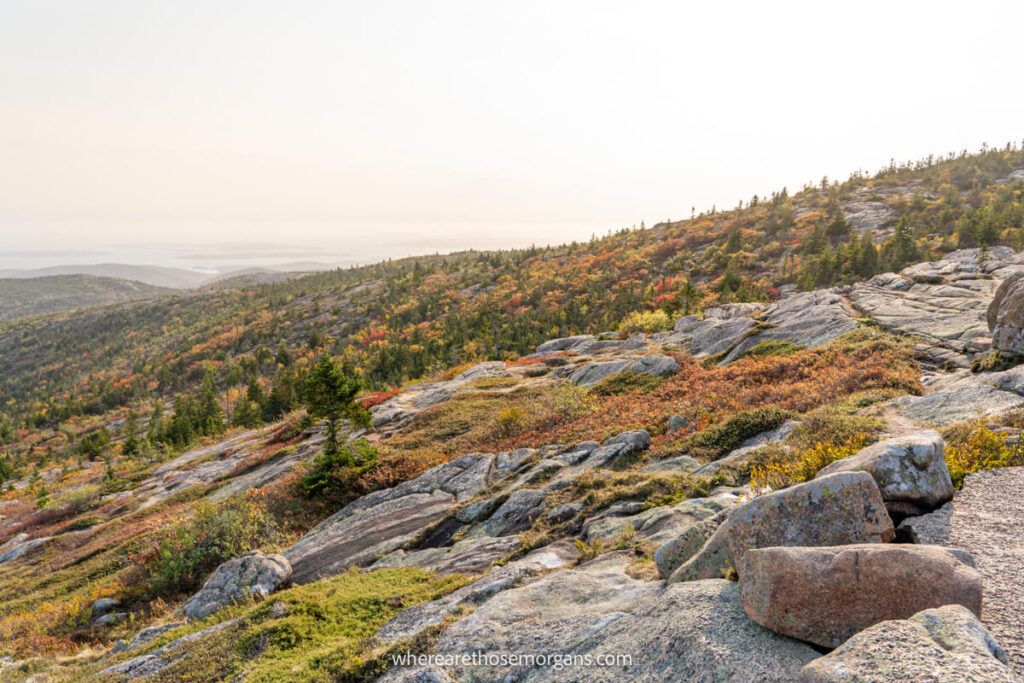 The bright colors of fall in Acadia starting to fade just after peak season