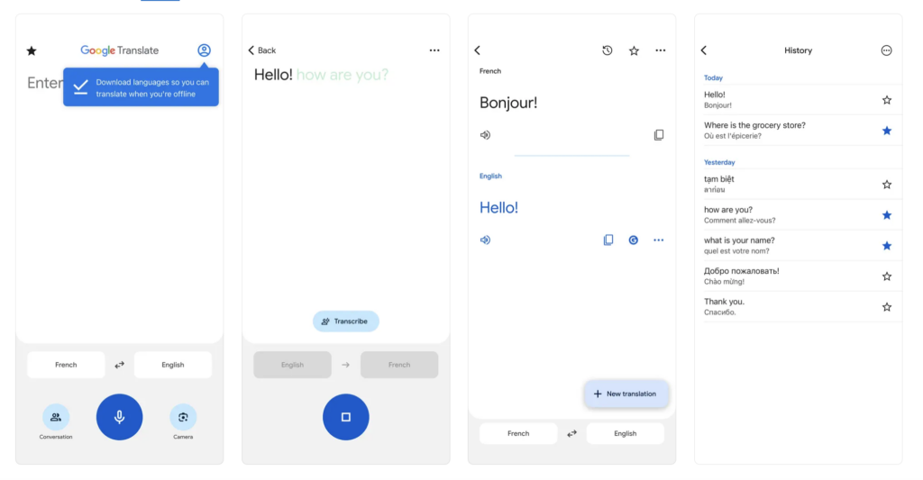 Screenshot of Google Translate platform