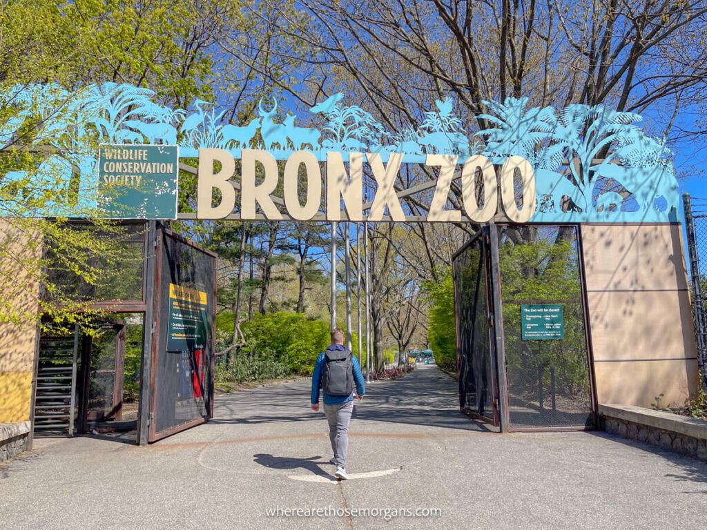 Person walking into the Bronx Zoo