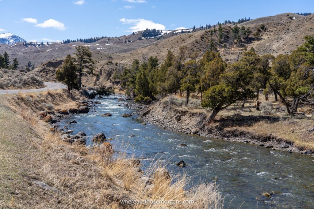A river running beside a paved road in  a wyoming national park