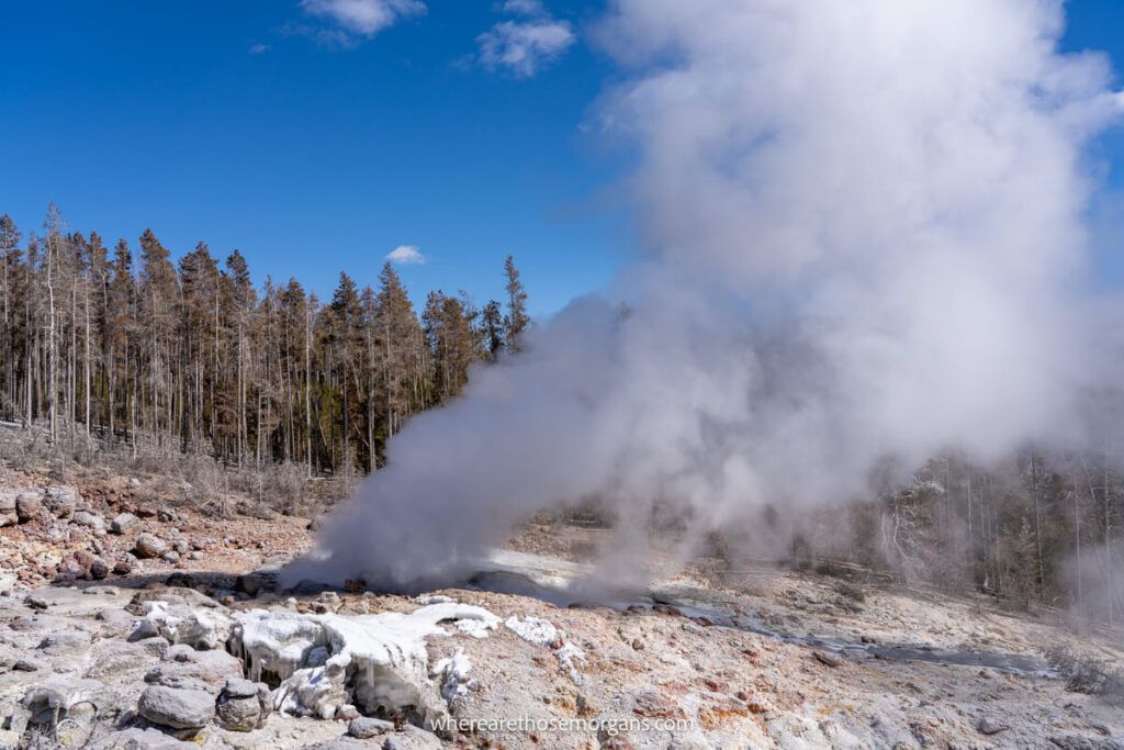 Front views of Steamboat Geyser one of the best things to do in Yellowstone