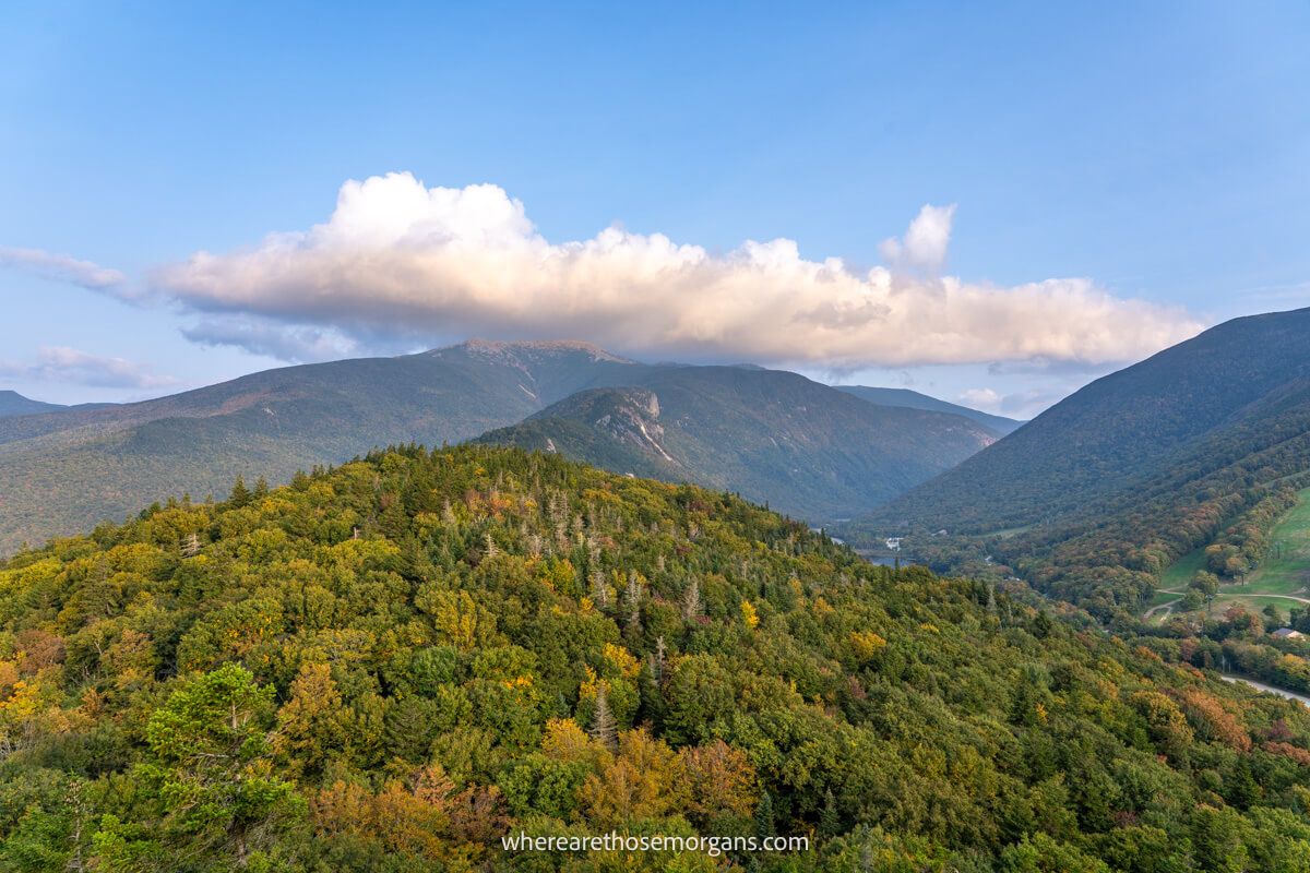 Far reaching views over rolling hills covered in trees from an elevated vantage point at dusk