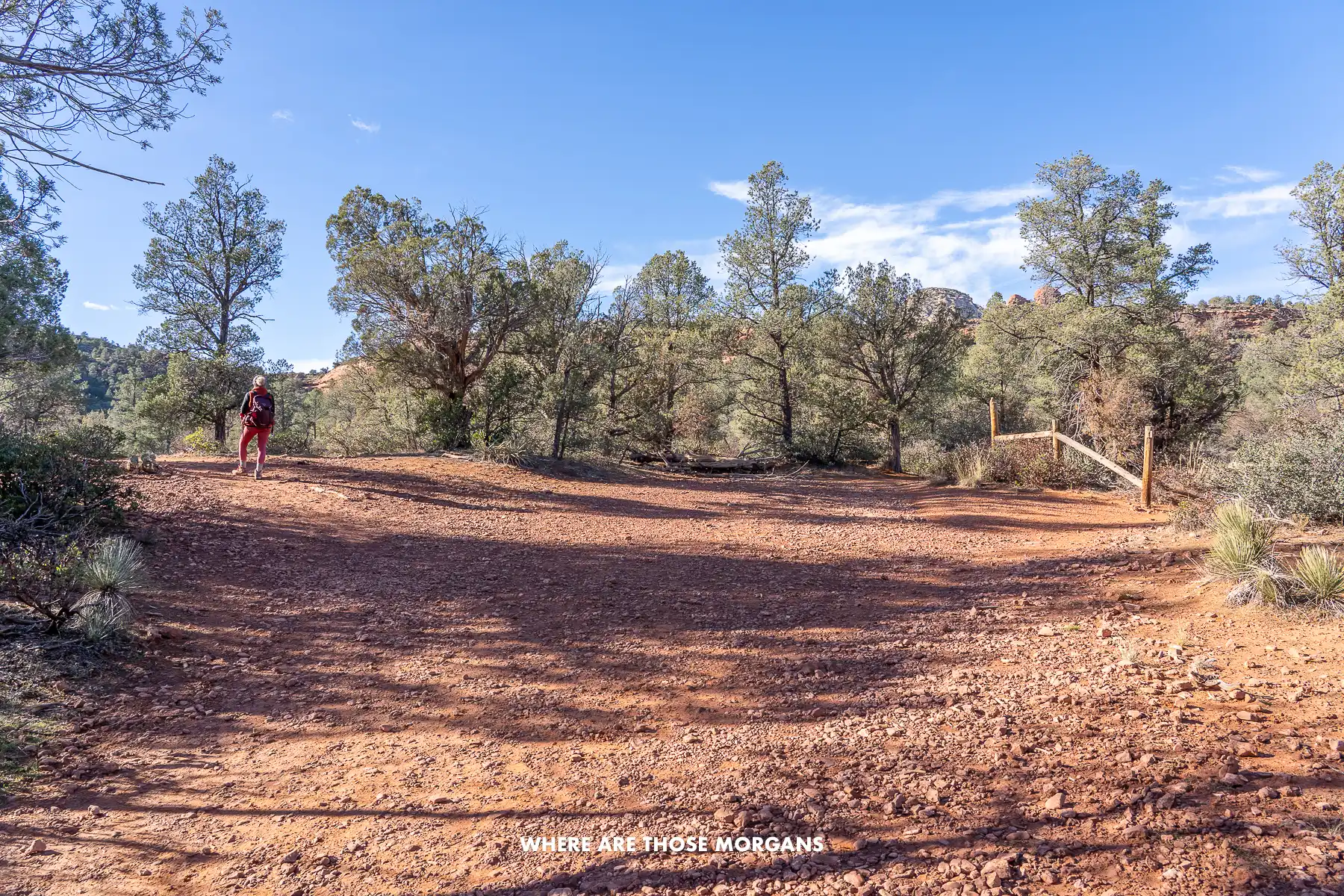 Kristen from Where Are Those Morgans forking left off a dirt trail through trees in Arizona