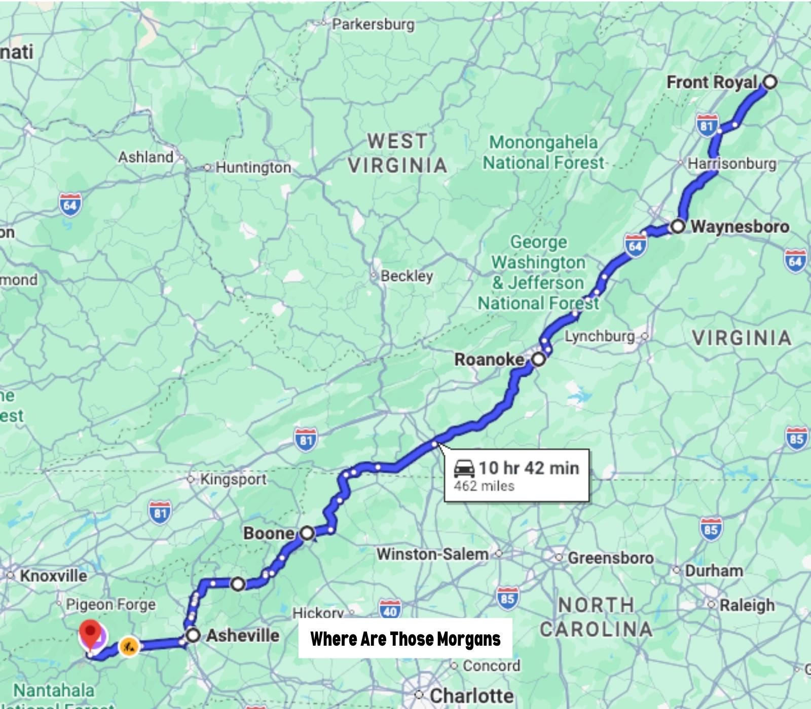 Google Maps screenshot of a route map for a Shenandoah and Blue Ridge Parkway road trip