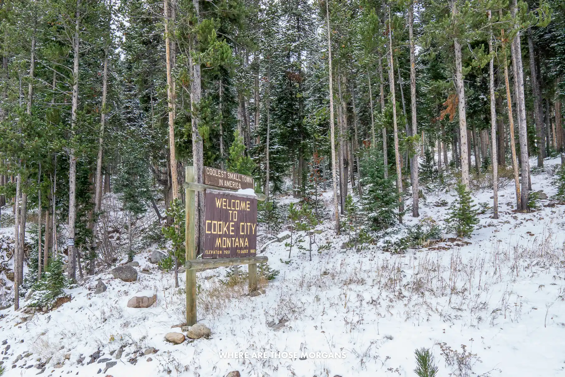 Wooden sign at the entrance to Cooke City Montana surrounded by trees and snow