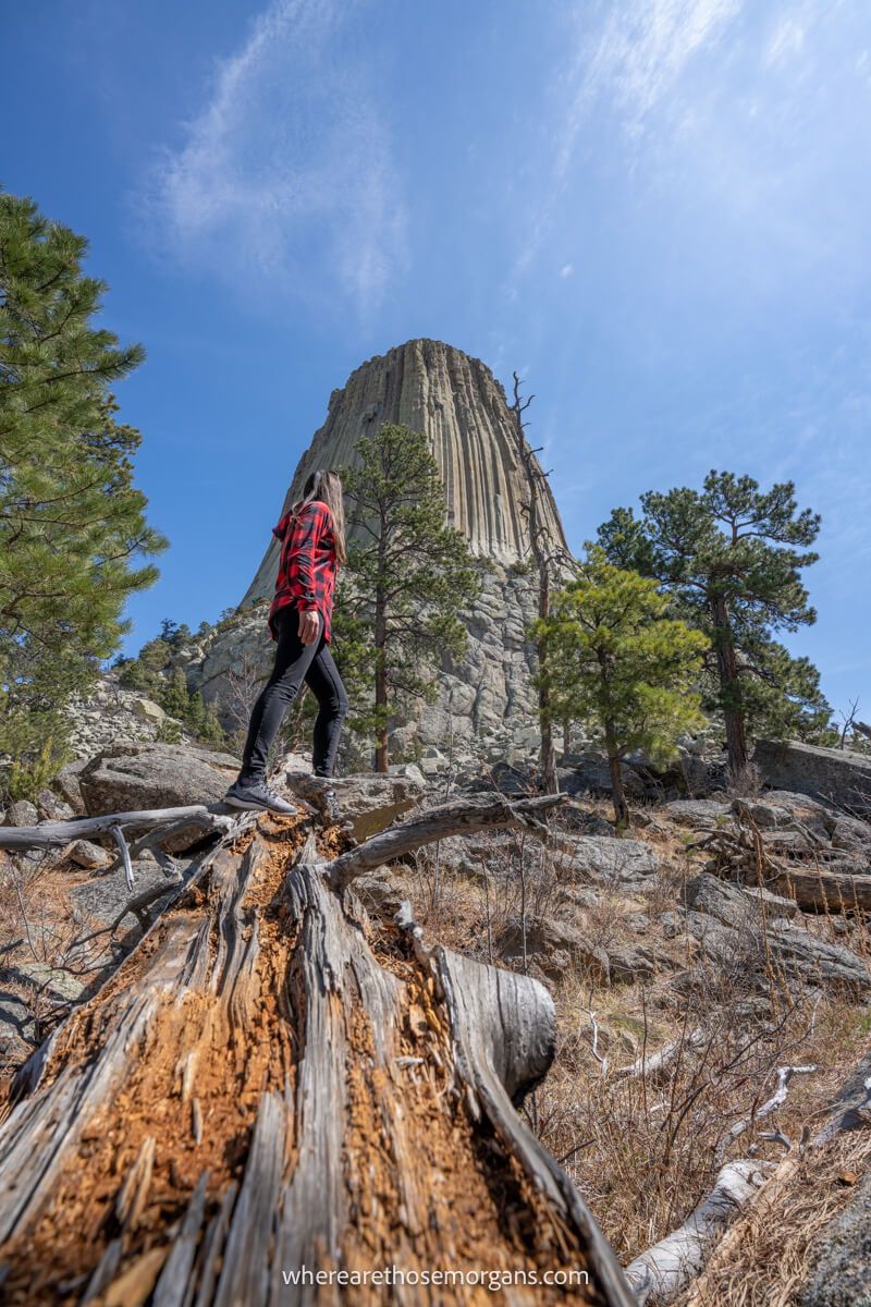 Photo of a hiker stood on a log looking up at a tall rock formation on a clear sunny day