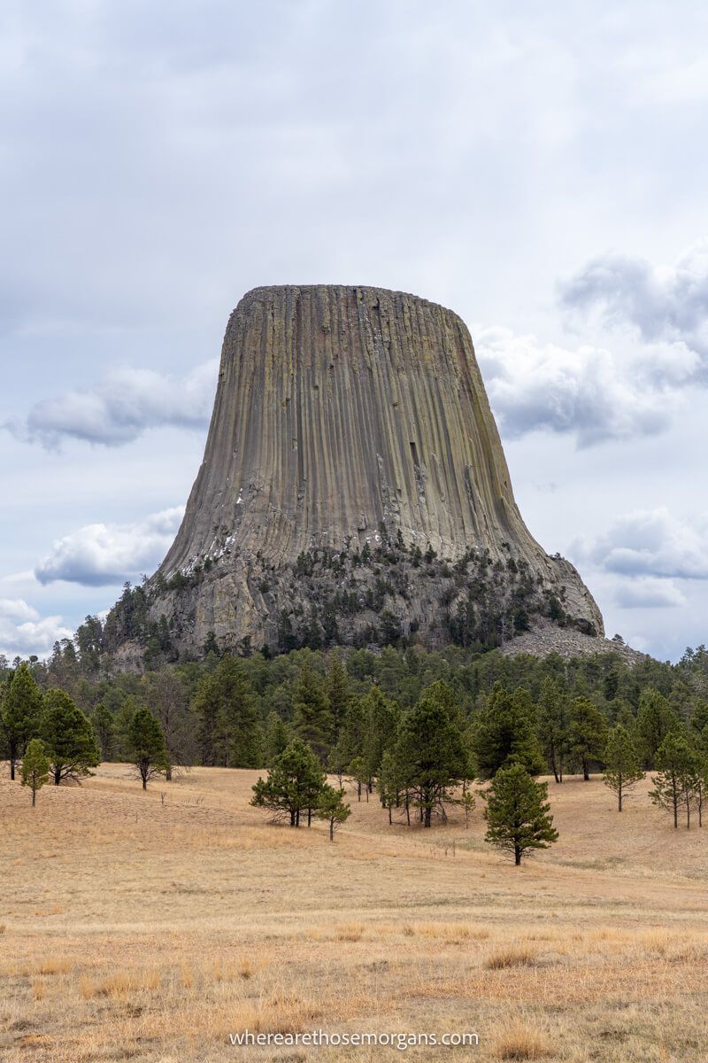 Photo of Devils Tower National Monument bursting into the sky from behind a golden meadow and evergreen trees on a cloudy day