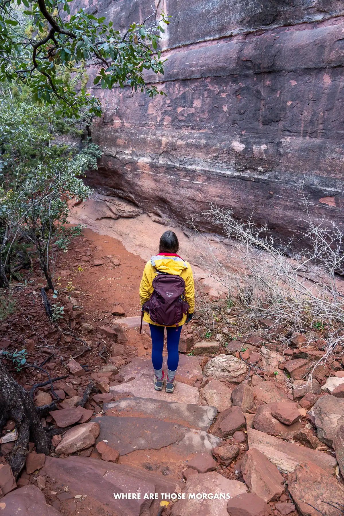 Kristen from Where Are Those Morgans hiking down stone steps on a path leading to a massive red cliff wall