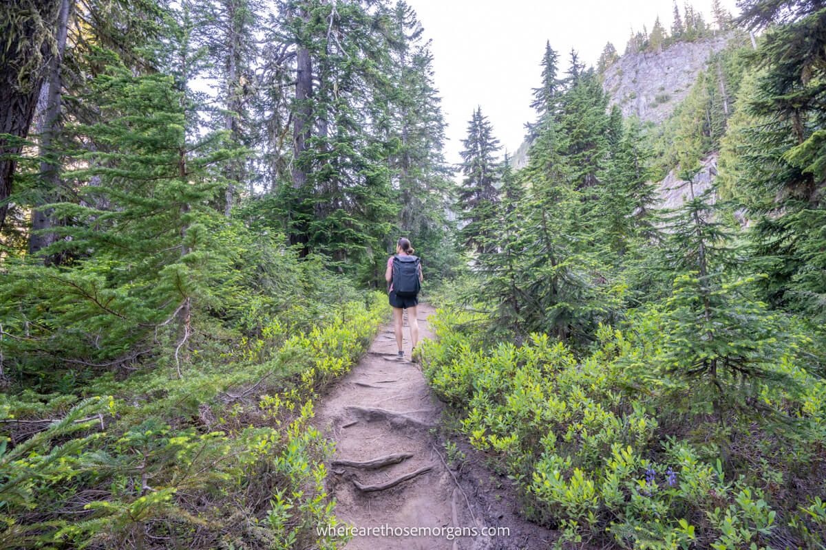 Photo of a hiker on a forest dirt path through trees and vegetation