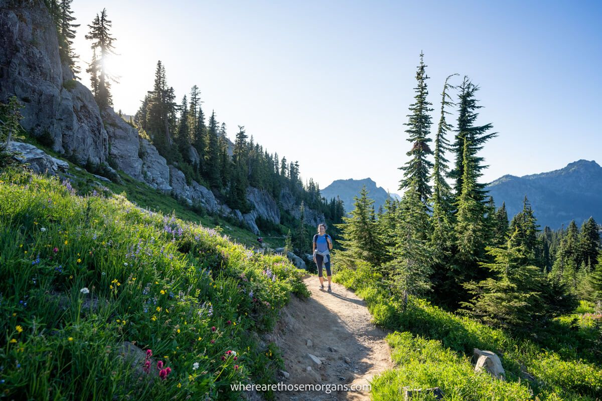 Photo of a hiker walking on a dirt path on a grassy mountainside with wildflowers under a sunny clear sky