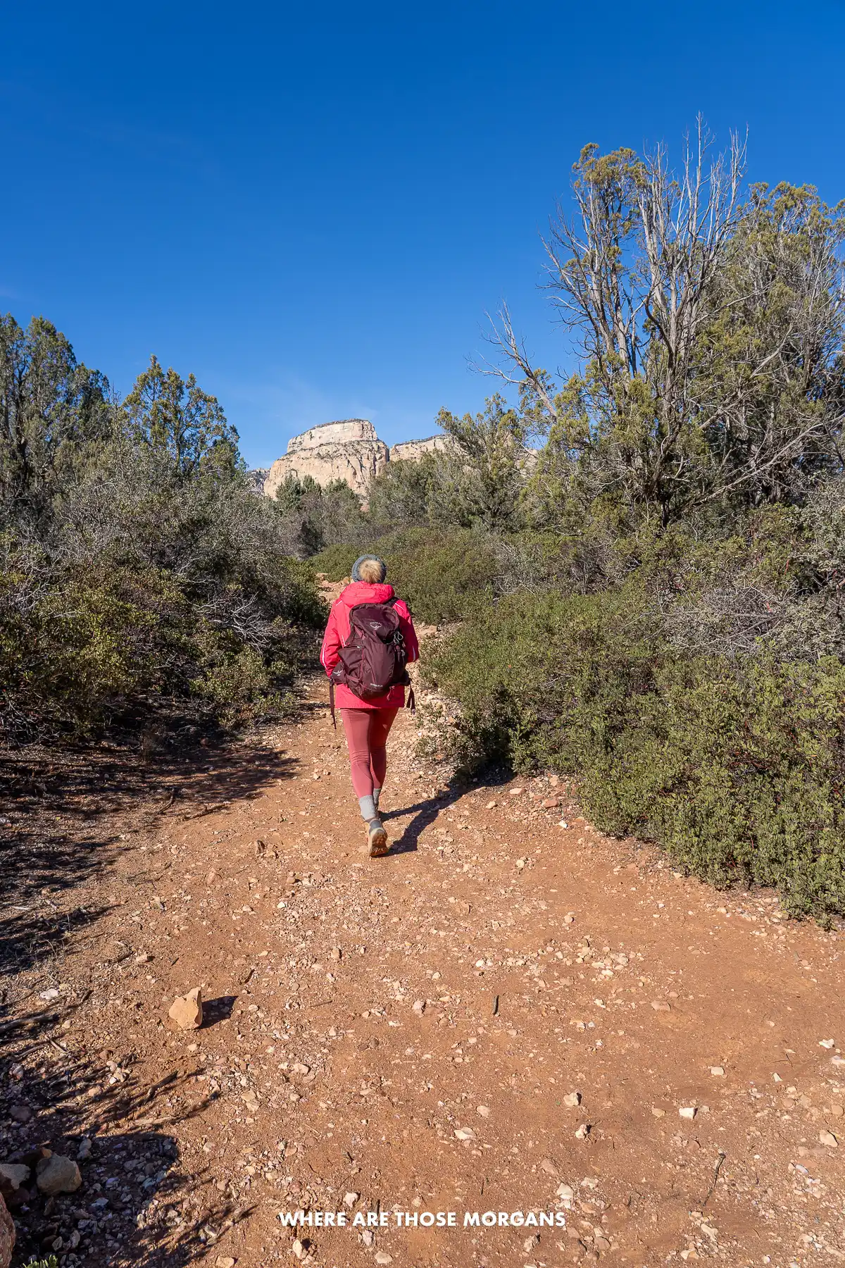 Kristen from Where Are Those Morgans hiking on a dirt path between trees in a red rock landscape on the Long Canyon Trail in Sedona Arizona