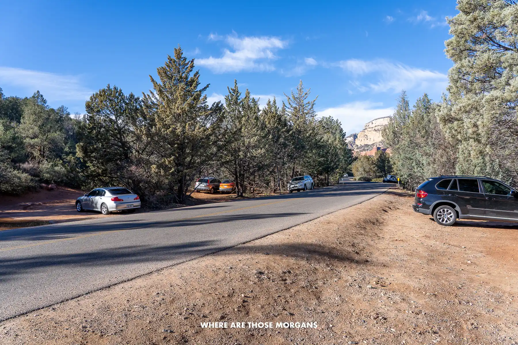 Road and roadside parking on dirt with a few cars parked underneath trees