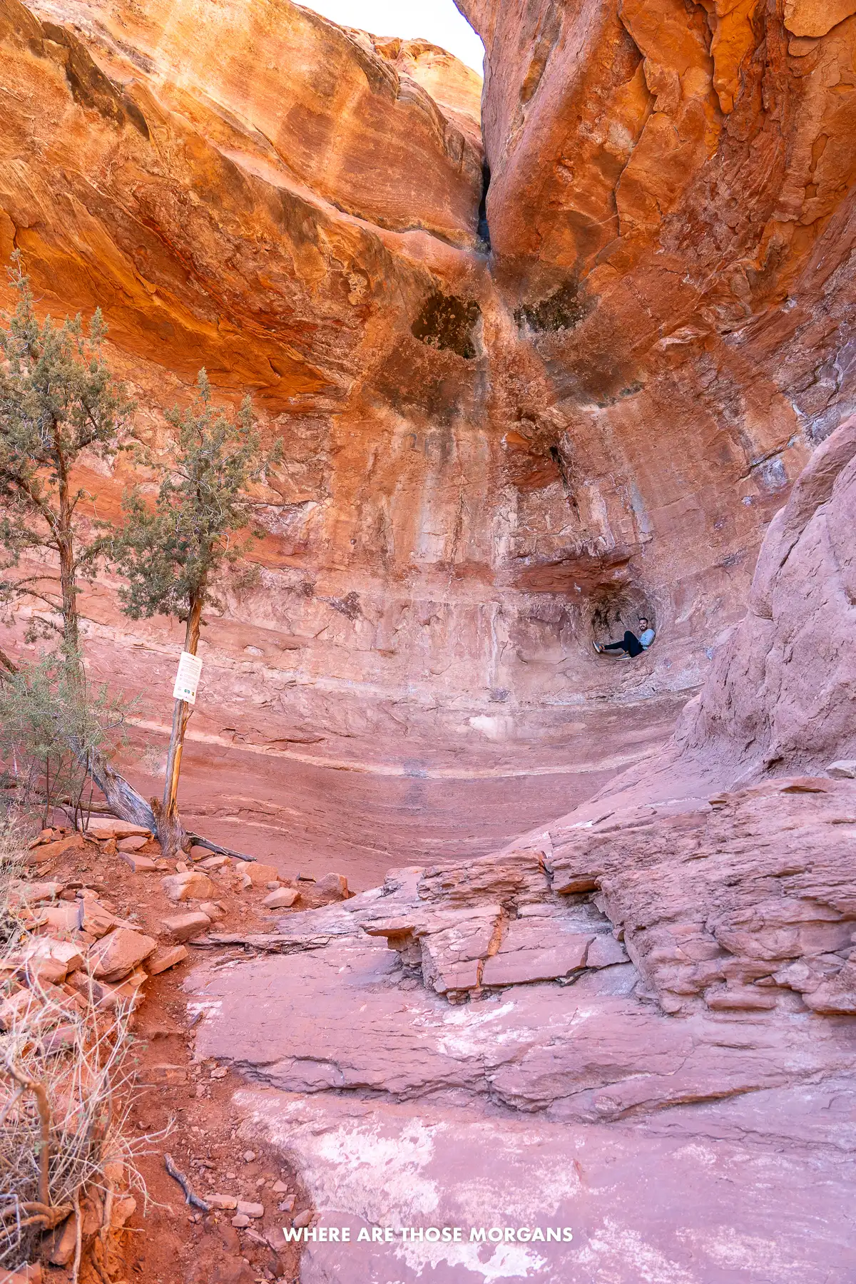 Mark from Where Are Those Morgans inside a cave that looks like an alcove from the outside