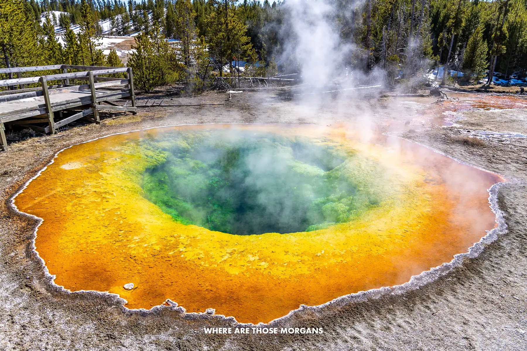 Vibrant orange, yellow and green colors in a hot spring in Yellowstone National Park