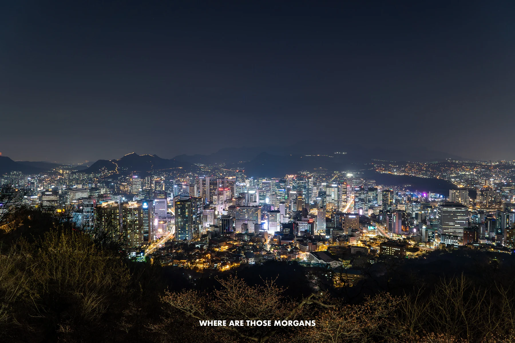 View of Myeongdong at night from N Seoul Tower