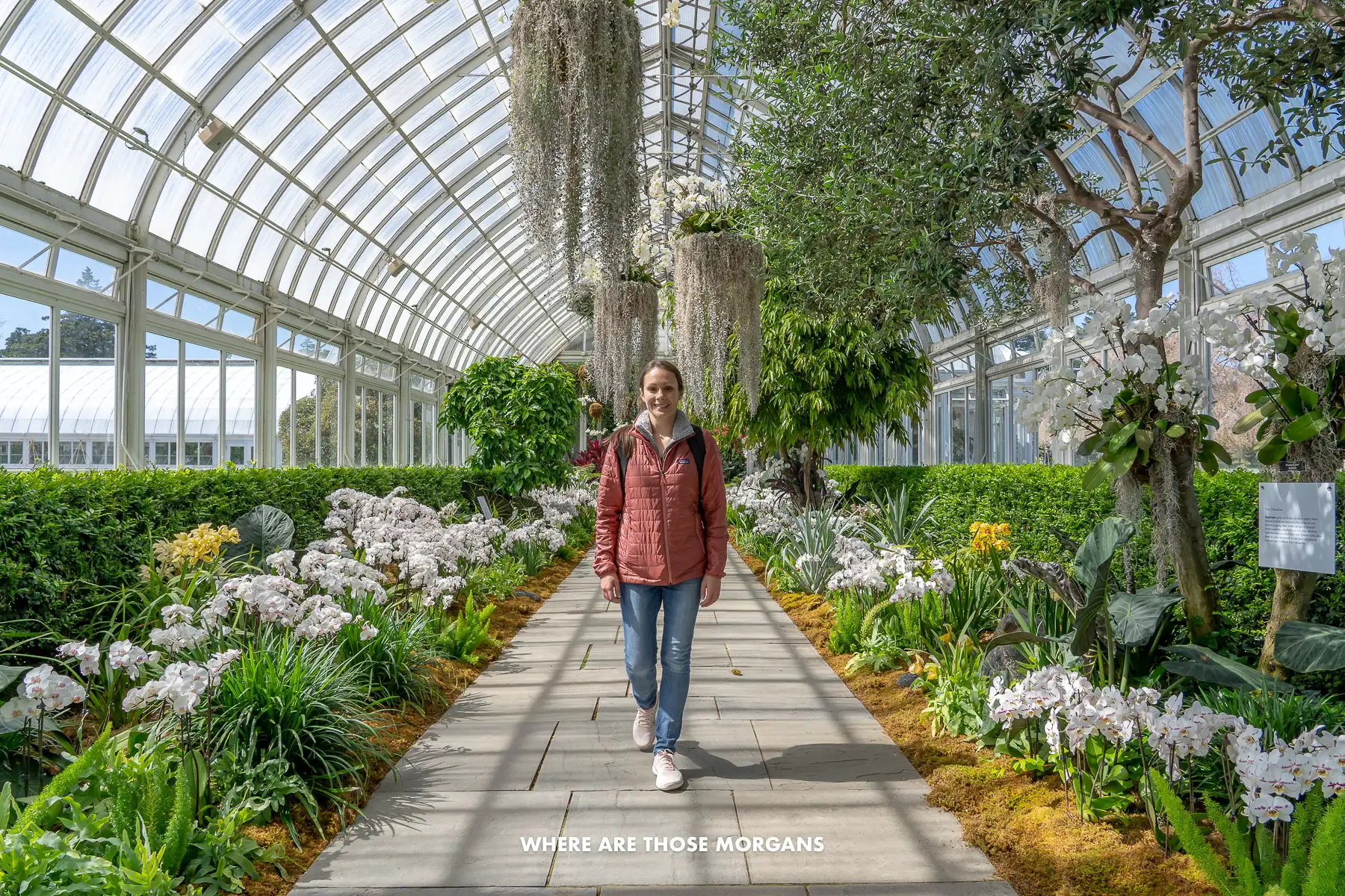 Kristen from Where Are Those Morgans standing inside the New York Botanical Garden with flowers all around