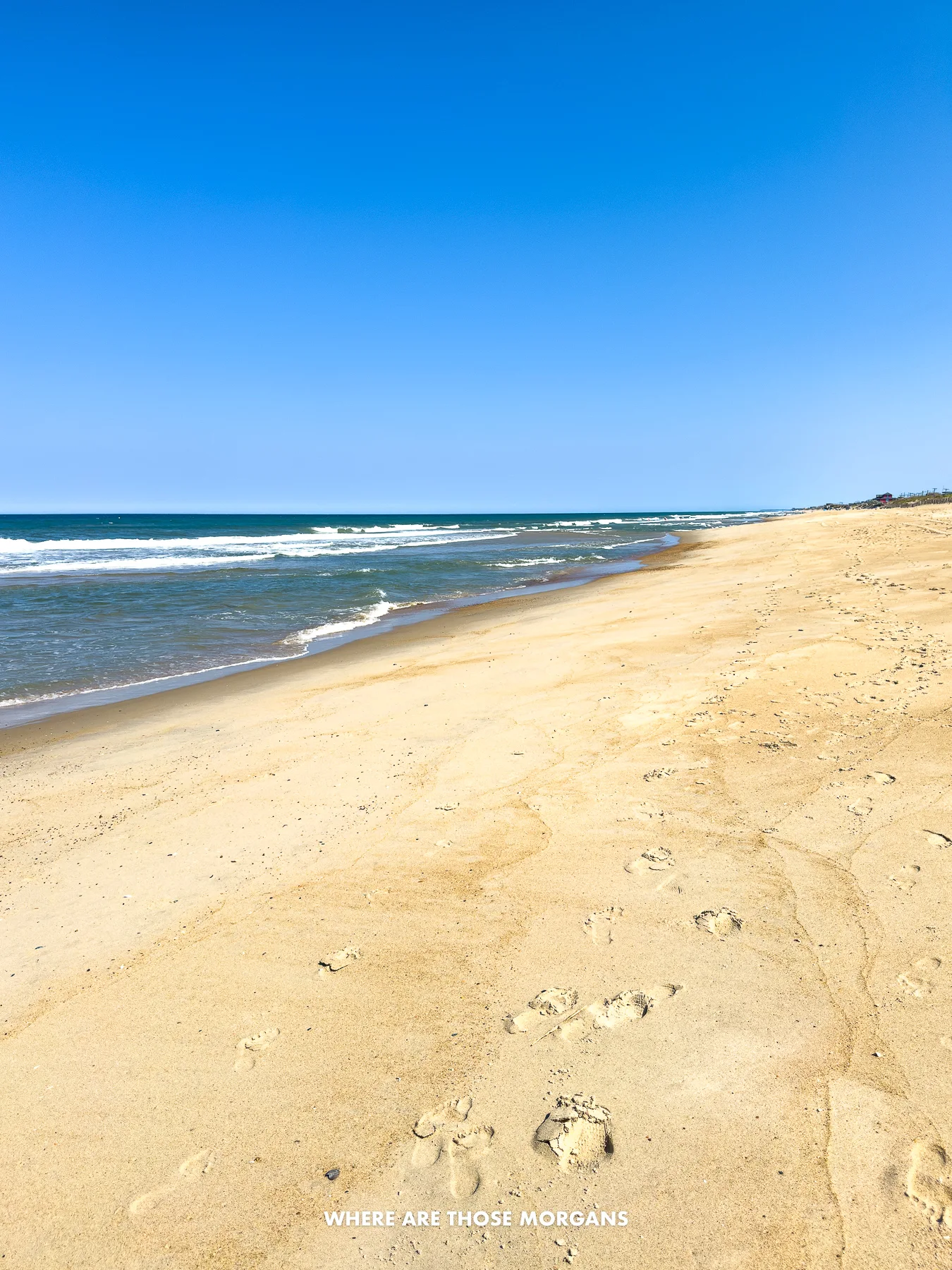 Empty golden sand beach and ocean on a clear day along the Outer Banks