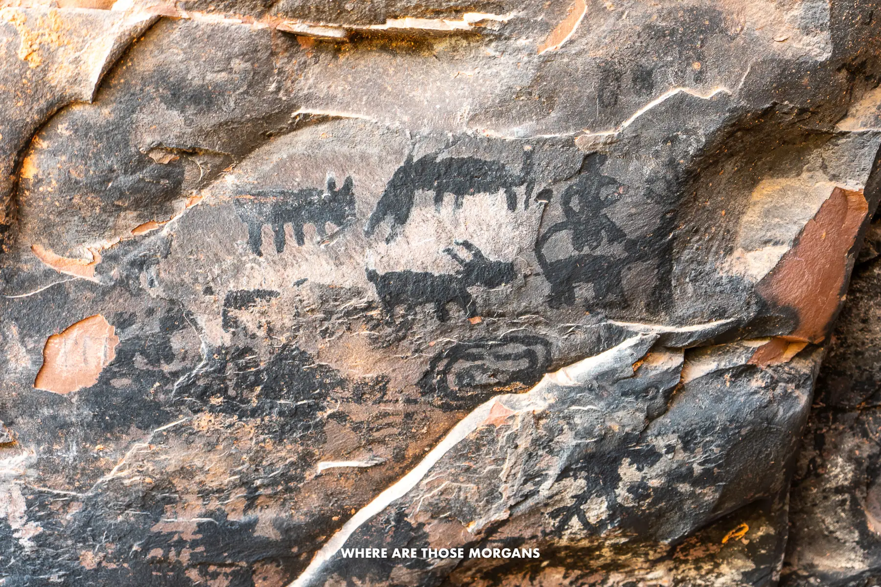 Rock art pictographs with animal shapes at an ancient ruin in Sedona