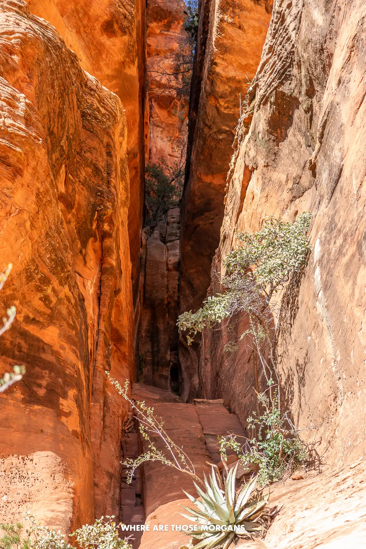 A steep and narrow rocky chute between tall straight red rock walls
