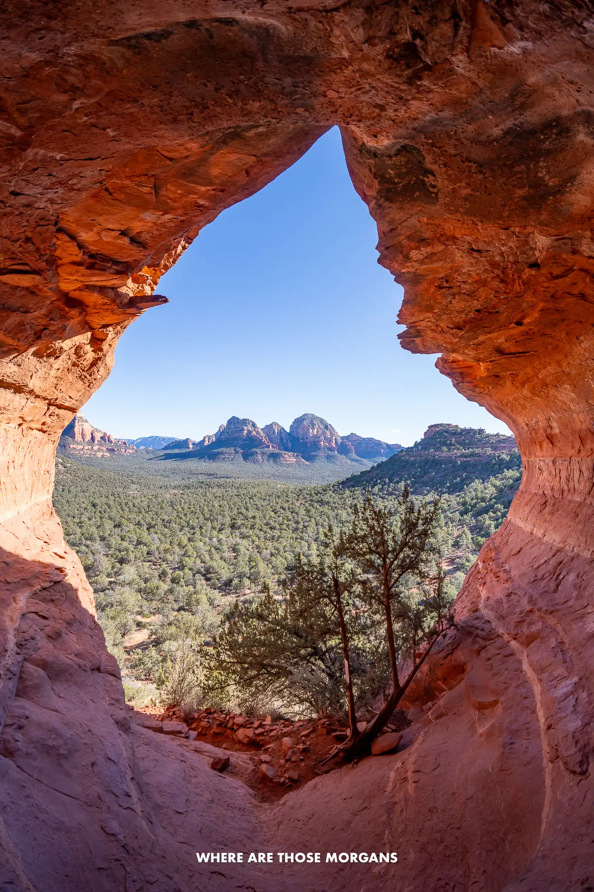 Looking out through the flame-shaped cave entrance of Sedona's Birthing Cave at a wide open view of trees and red rocks under a blue sky