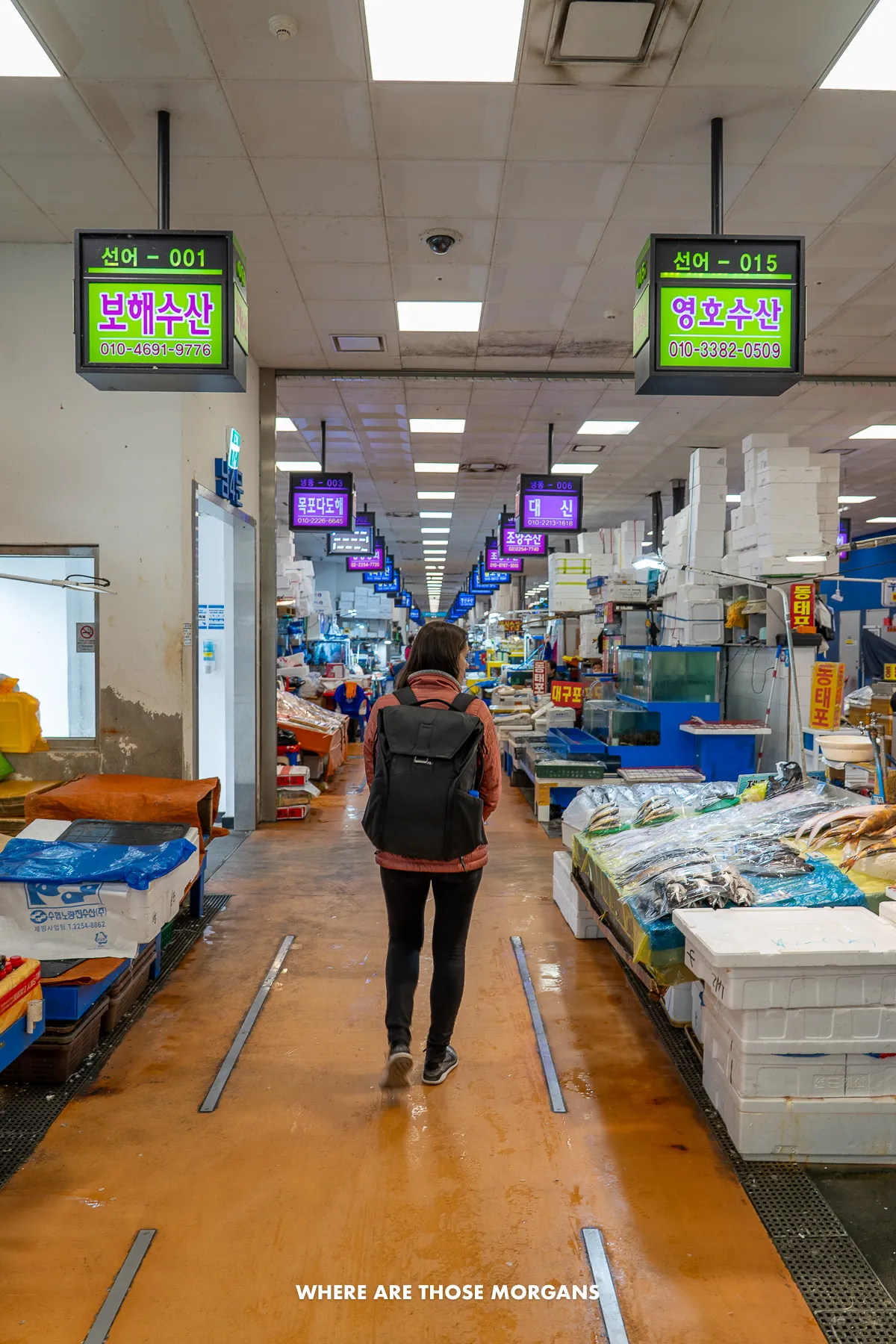 Kristen from Where Are Those Morgans walking through Noryangjin Fish Market in Seoul