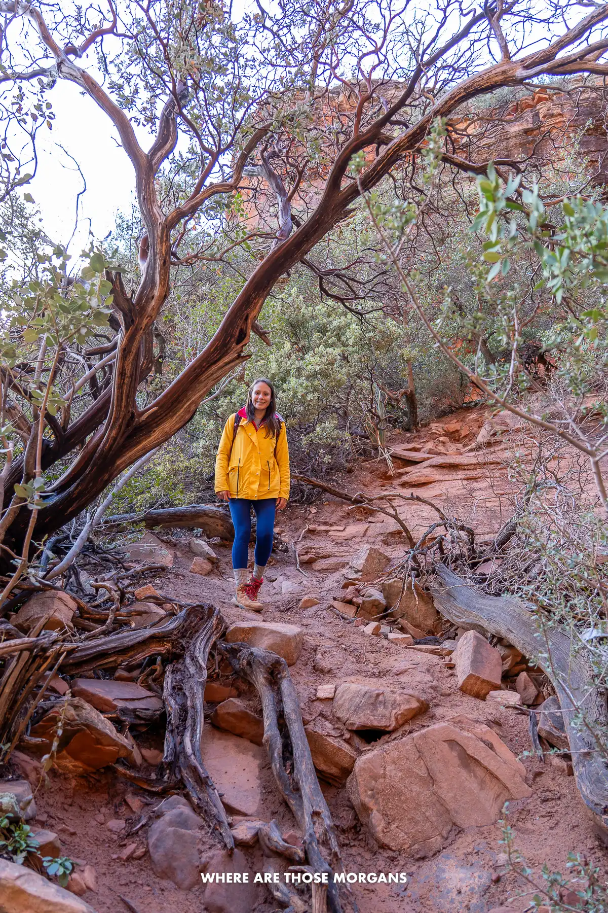 Kristen from Where Are Those Morgans half way up a steep rocky bank with trees, logs and stones on the ground on a hike in Sedona