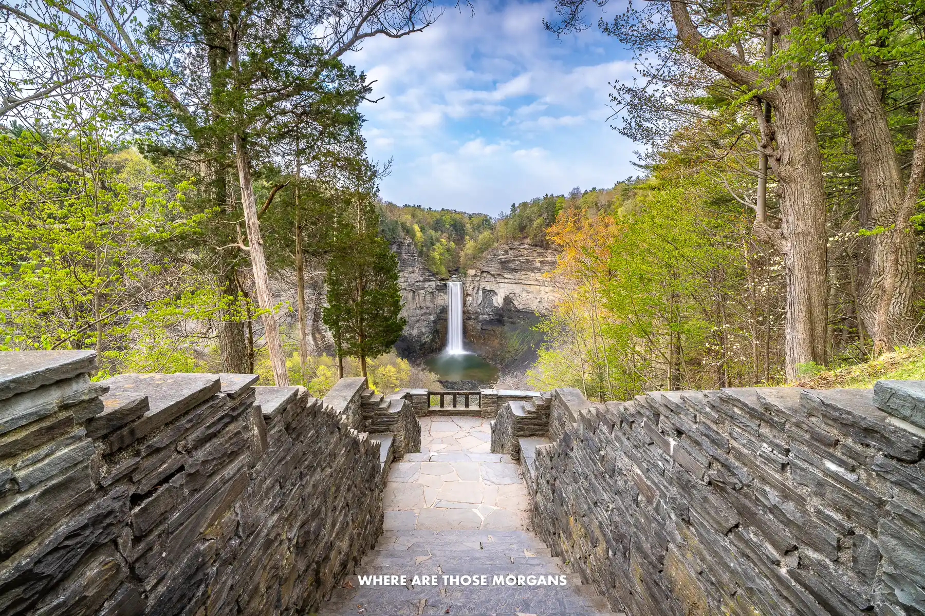 Steps flanked by stone walls leading through trees into a bowl with a waterfall at the back in New York's Finger Lakes
