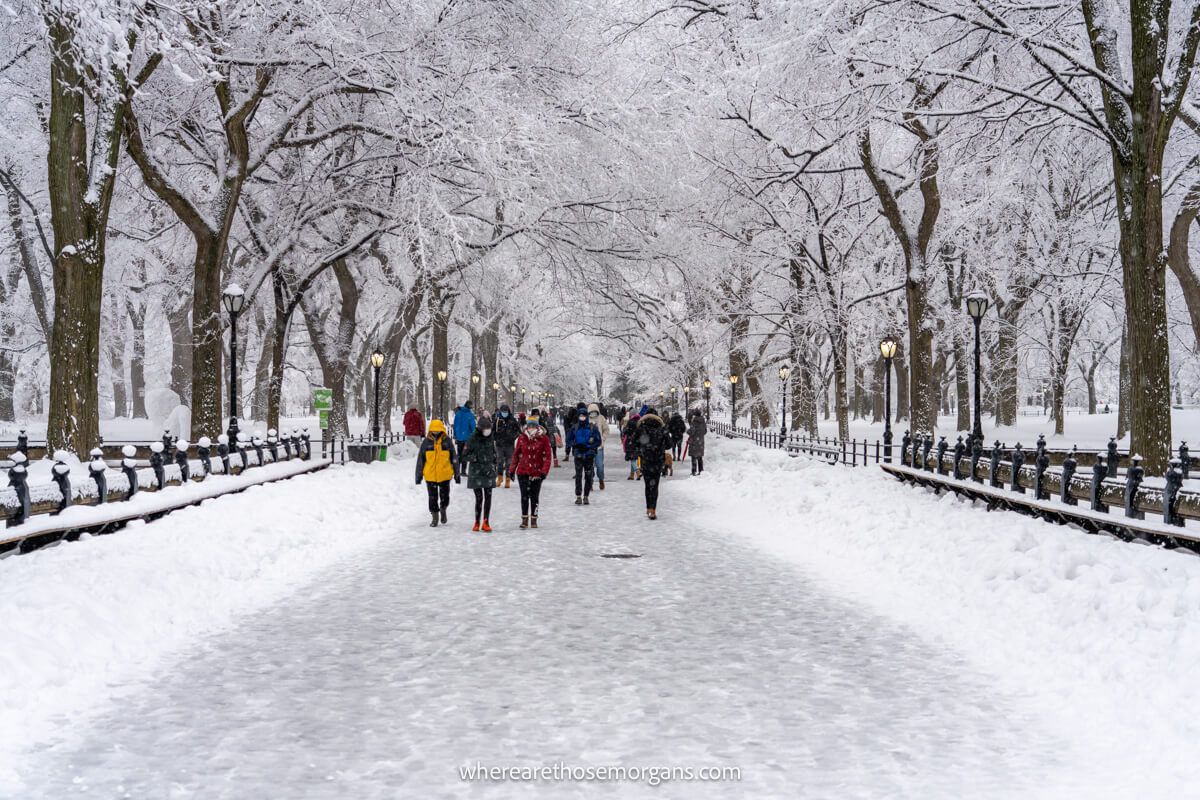 Photo of The Mall in Central Park in the snow during the winter with lots of tourists and locals out walking despite the cold