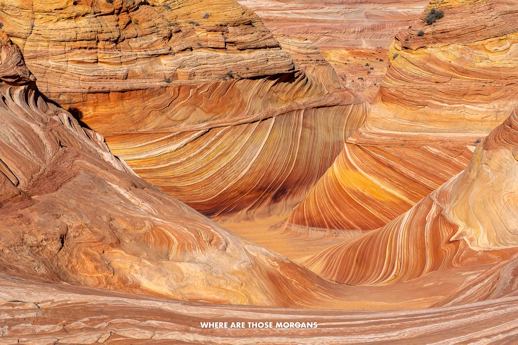 Close up photo of The Wave in Arizona with swirling patterns of reds and oranges