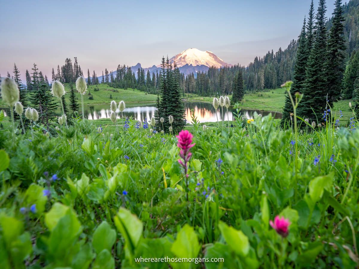 Our Guide To Hiking The Stunning Naches Peak Loop Trail To Tipsoo Lake