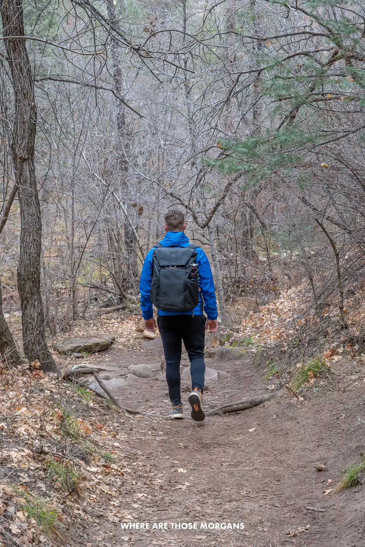 Mark from Where Are Those Morgans walking through a forest trail in Oak Creek Canyon Arizona