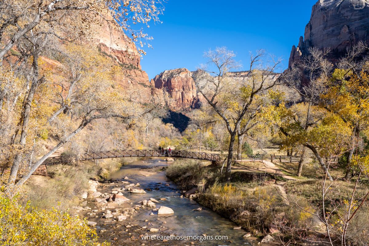 Photo of a river with vegetation and trees inside a deep canyon with tall cliff walls under a deep blue sky
